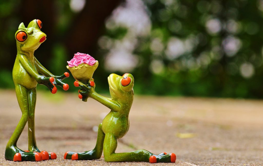 Saint Valentin sans Valentin