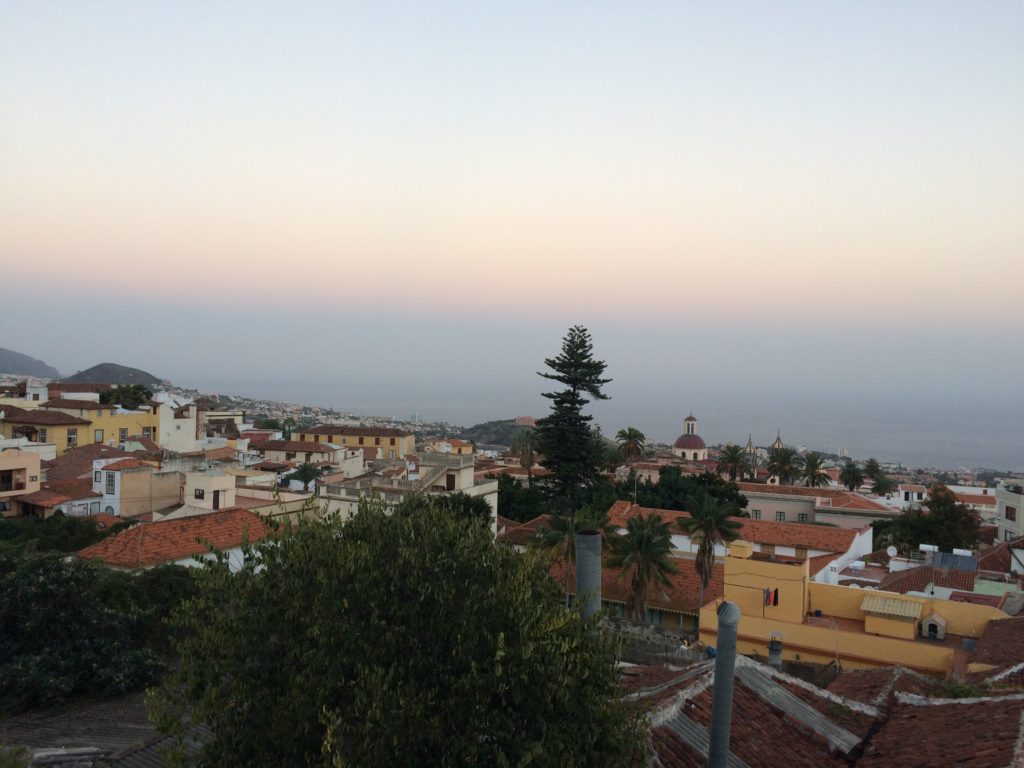 Puerto de la Cruz - Jour 1 (3)