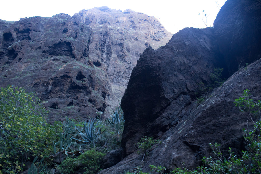 tenerife (60)