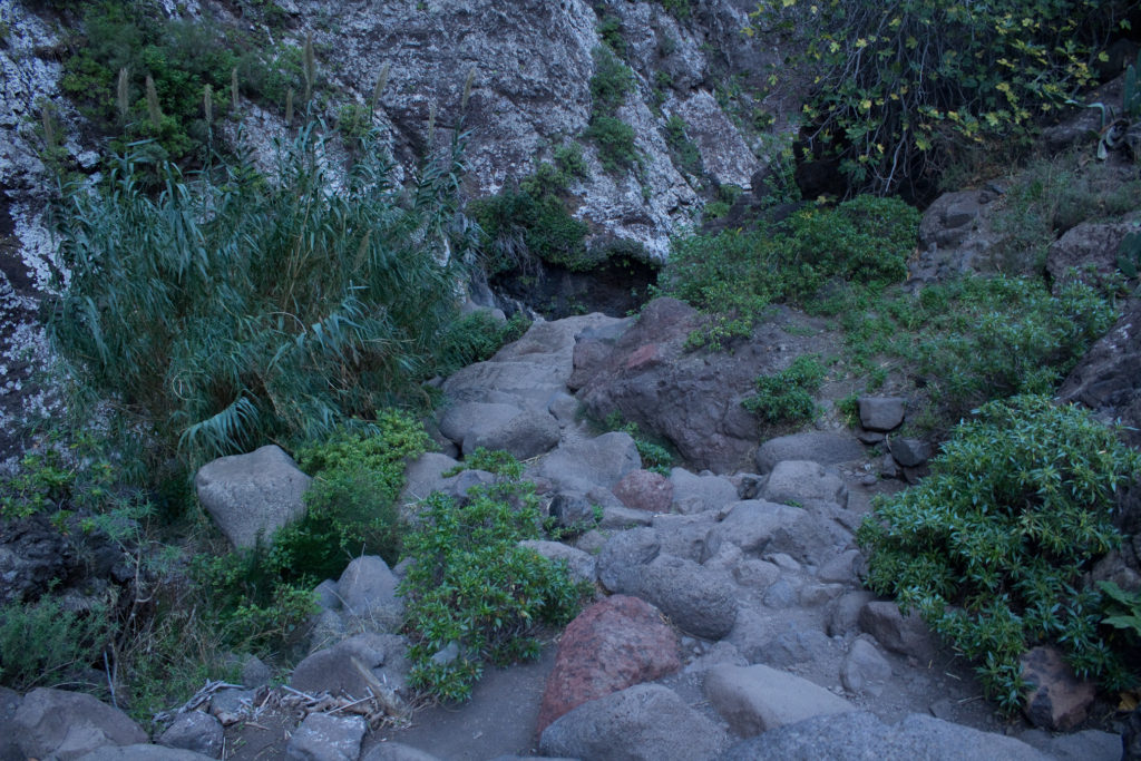 tenerife (61)