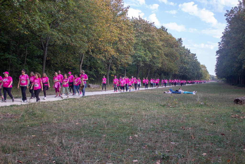 la vague rose de la marche solidaire d'odysséa