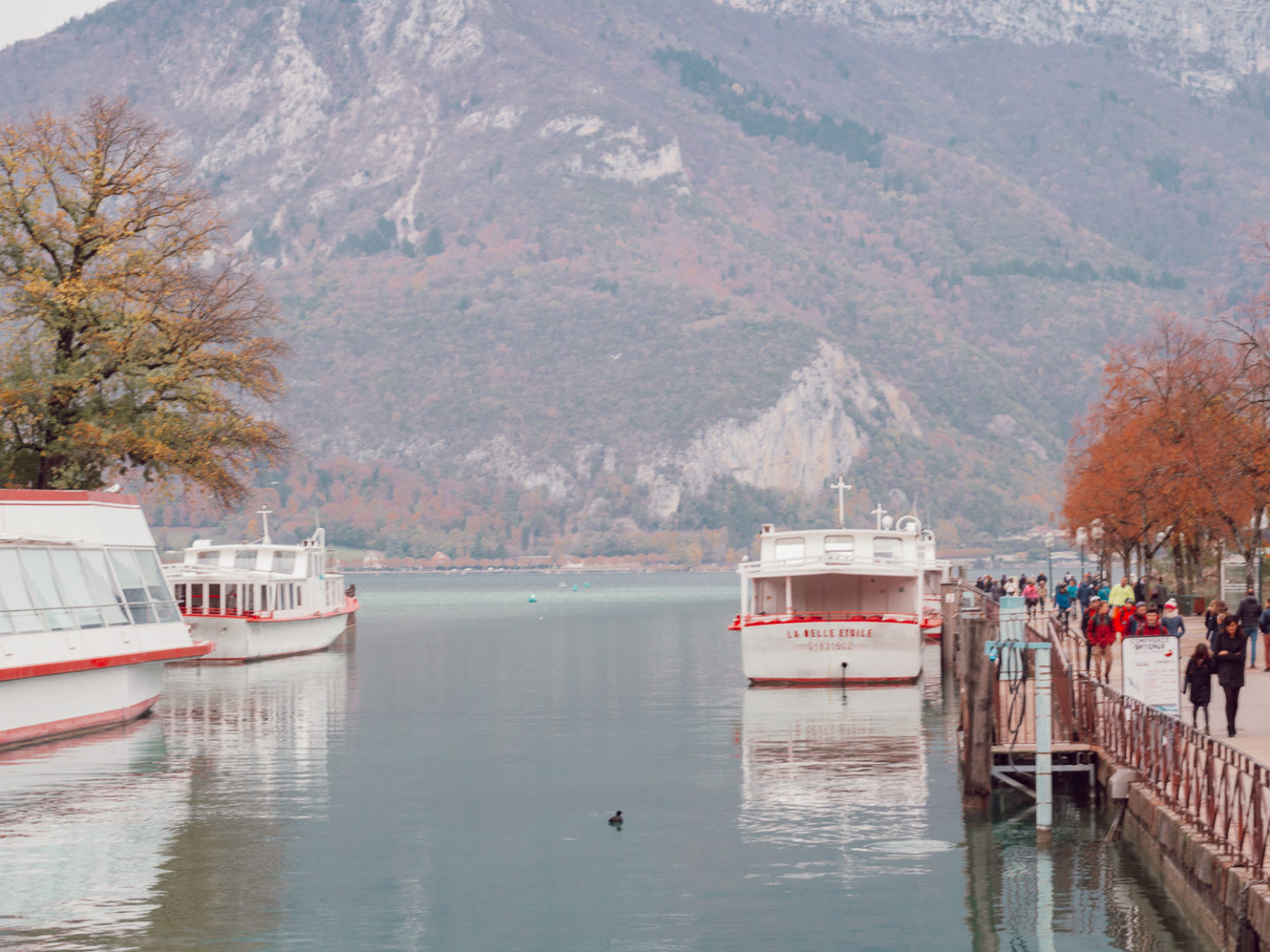 La belle annecy-26