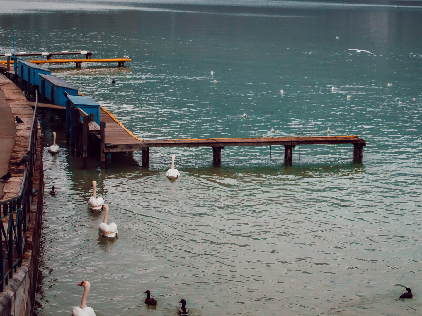 La belle annecy-47