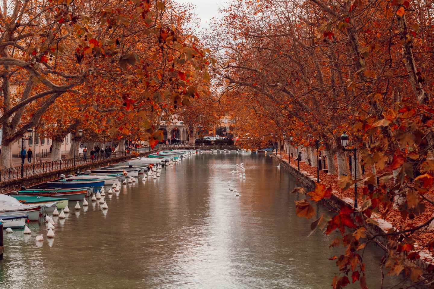 La belle annecy-56