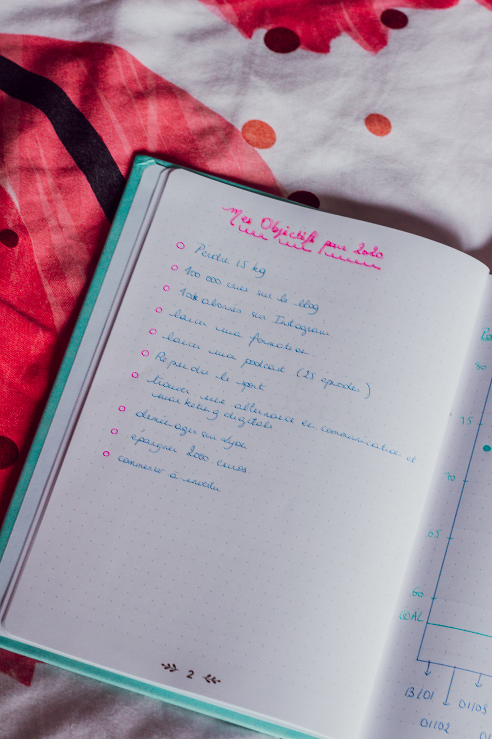 BUJO 2020-1
