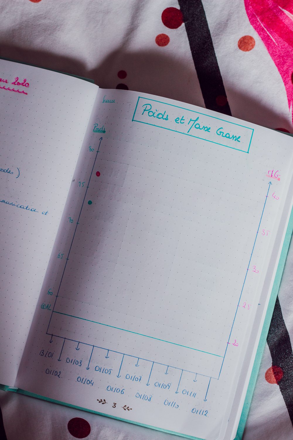 BUJO 2020-2