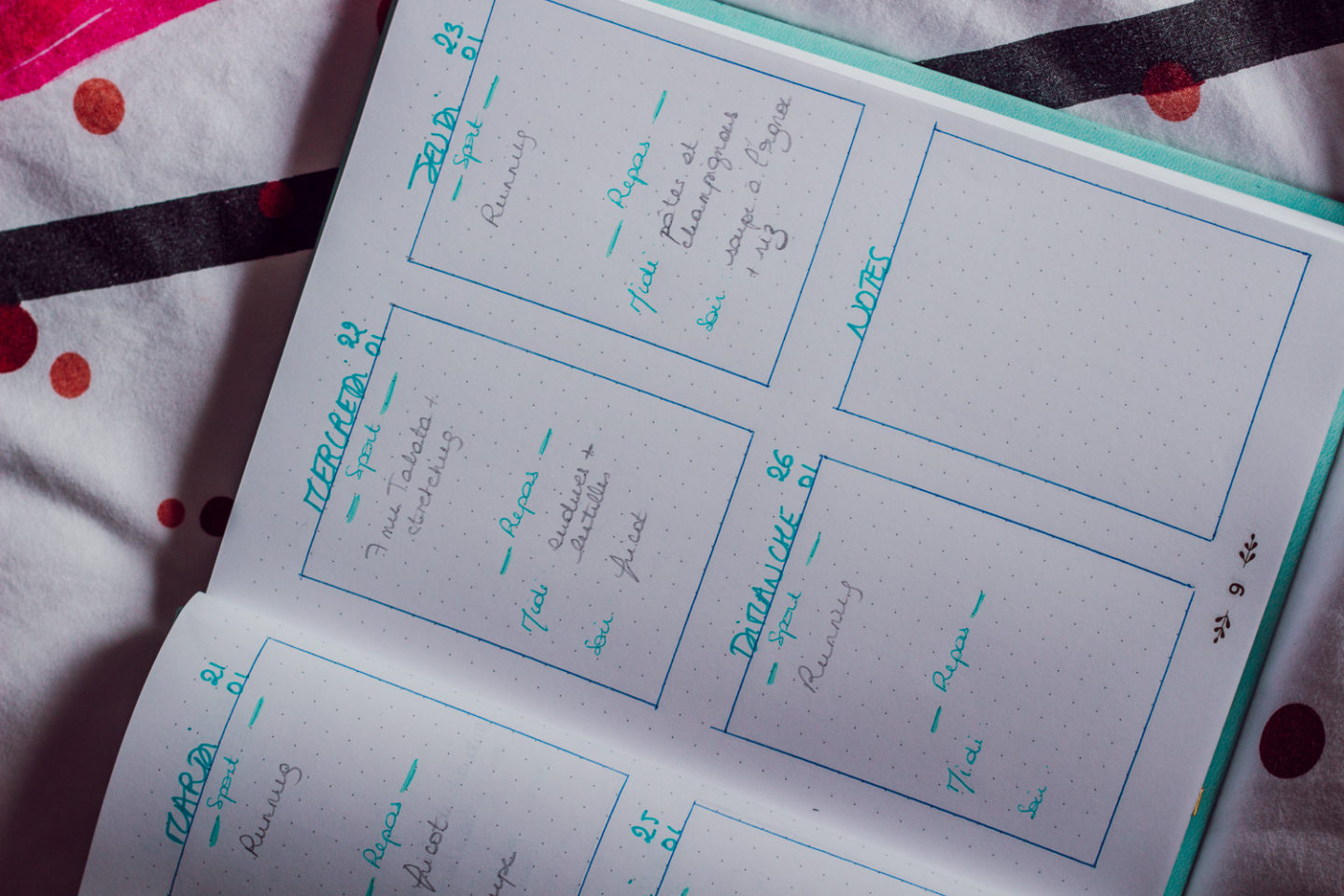 BUJO 2020-3