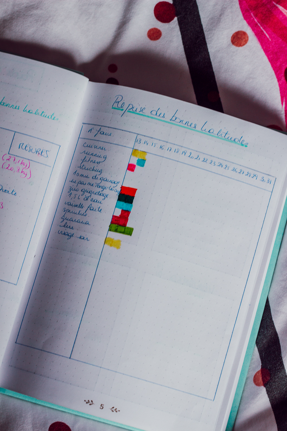 BUJO 2020-4