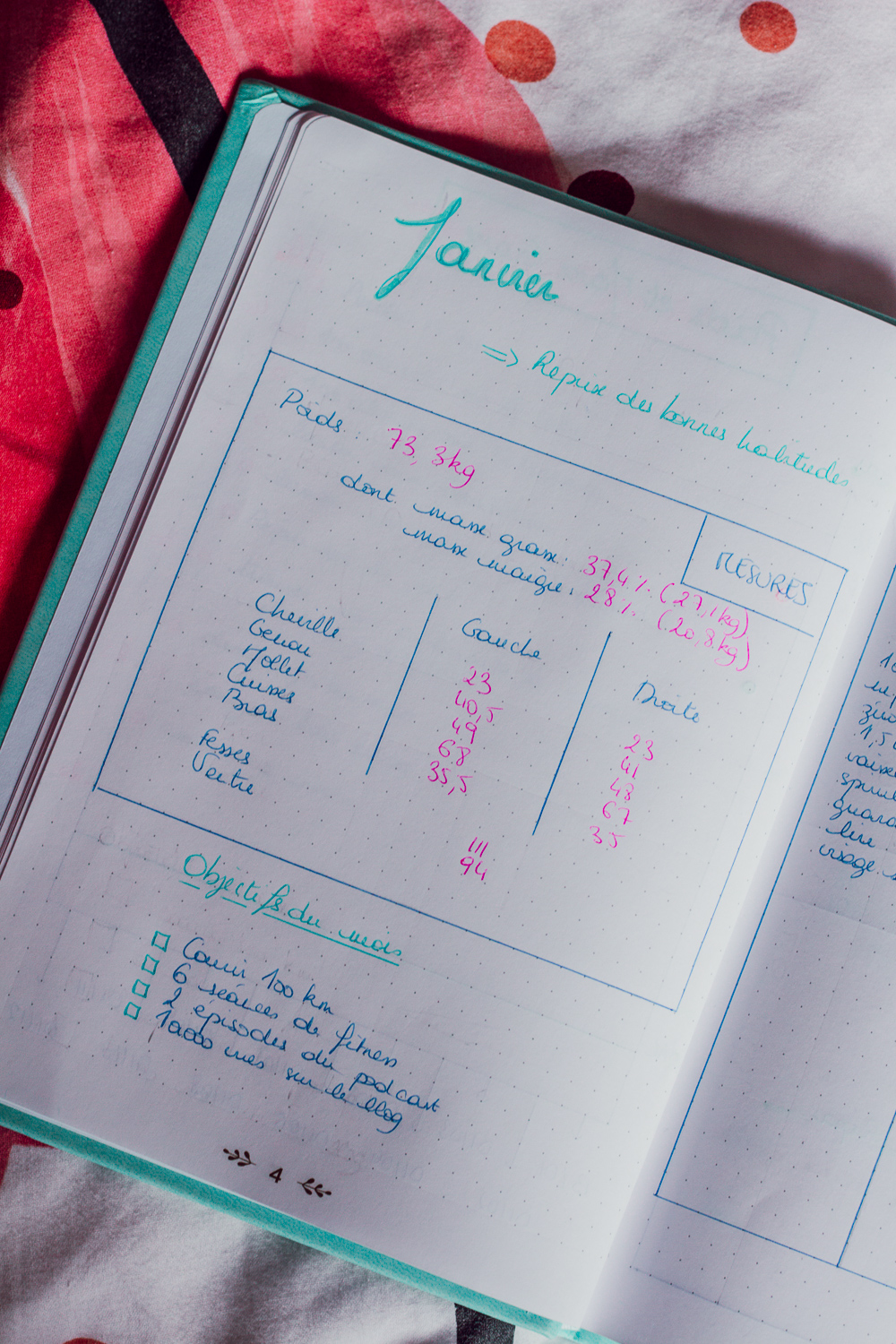 BUJO 2020-5