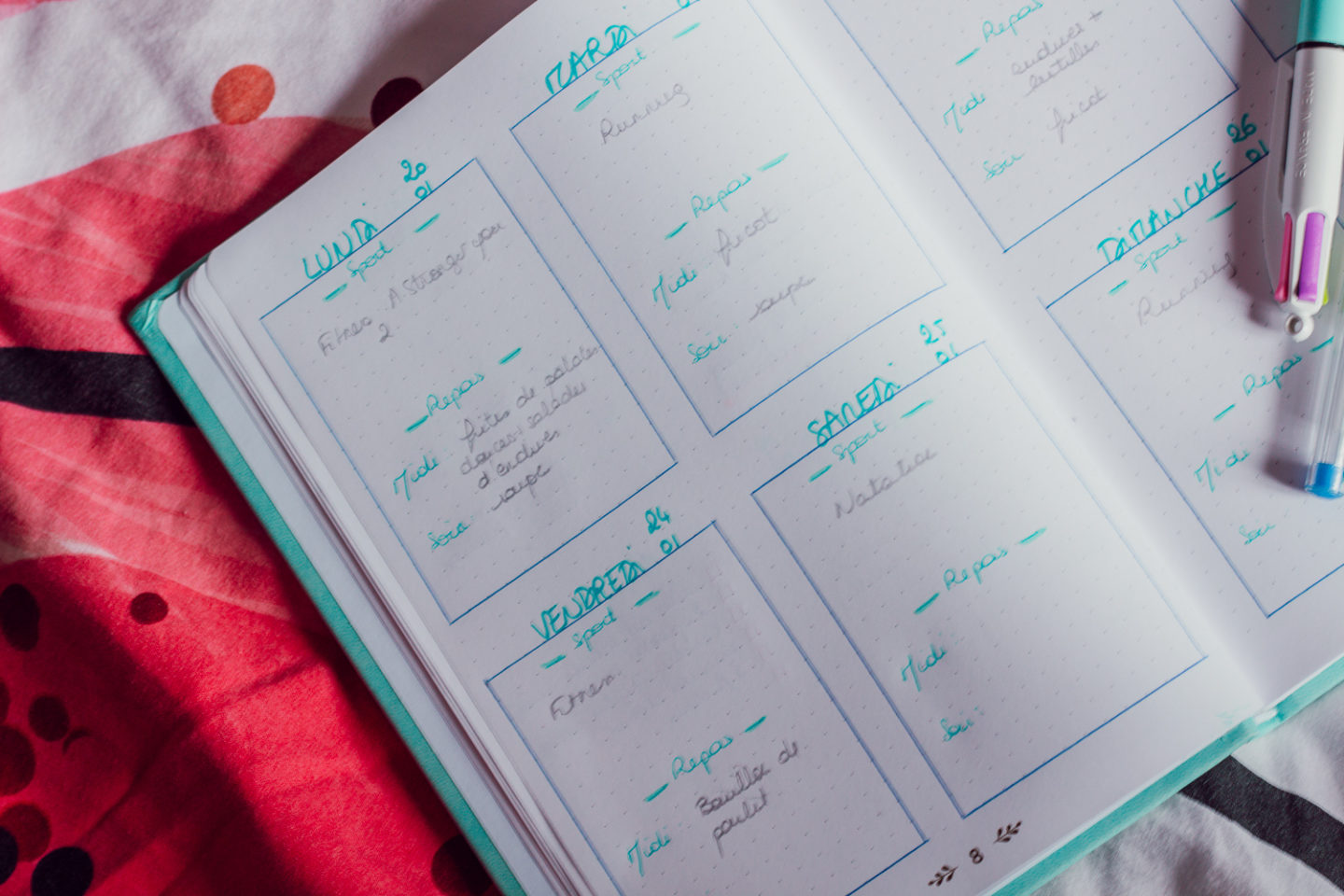 BUJO 2020-6