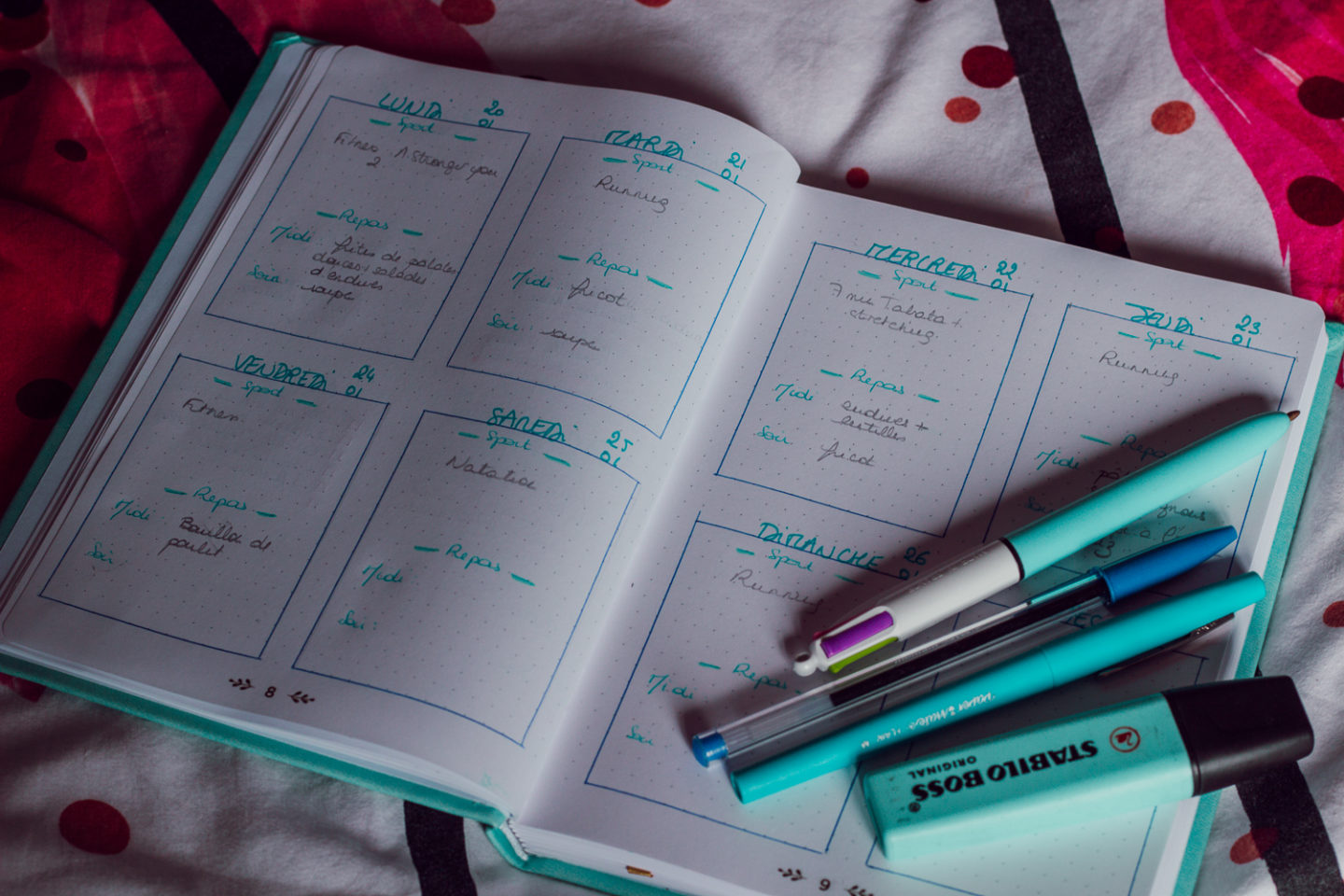 BUJO 2020-7