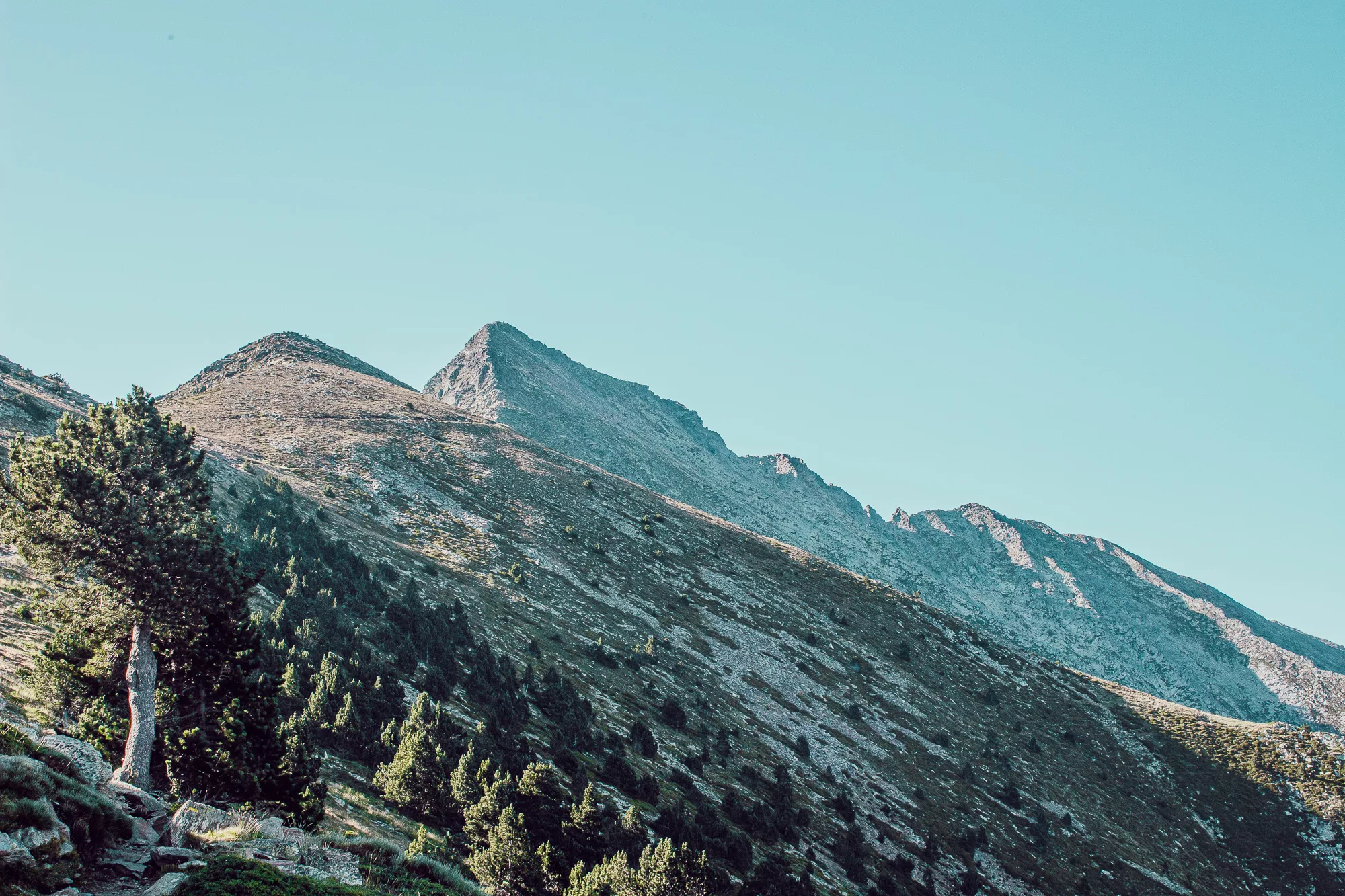 Croire en soi pour atteindre des sommets !