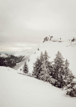 Partons à la découverte du Pays de Gex, une petite région de l'Ain coincée entre la Haute Savoie, le Jura et la Suisse. Parfaite pour découvrir le ski de fond, le ski de randonnée et les randonnées en raquettes.