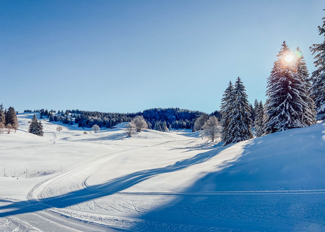 pays de gex - ski de fond à la vattay-10