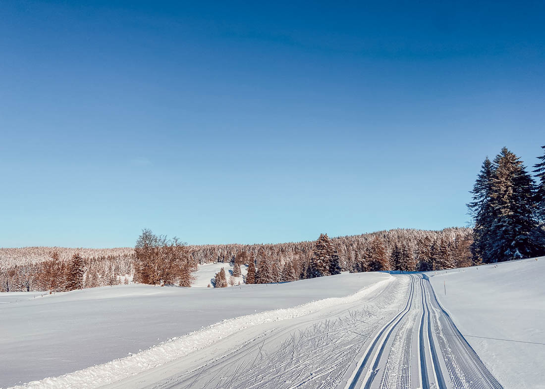 pays de gex - ski de fond à la vattay-12
