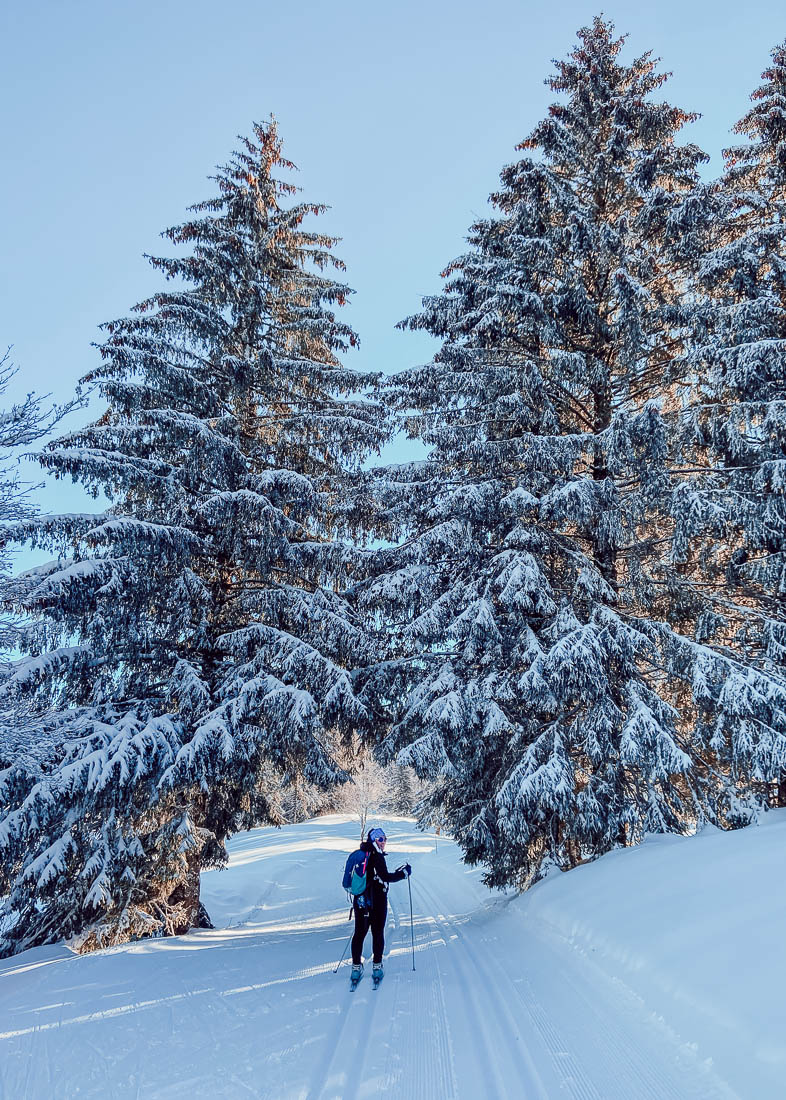 pays de gex - ski de fond à la vattay-14