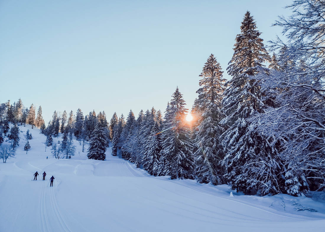 pays de gex - ski de fond à la vattay-16