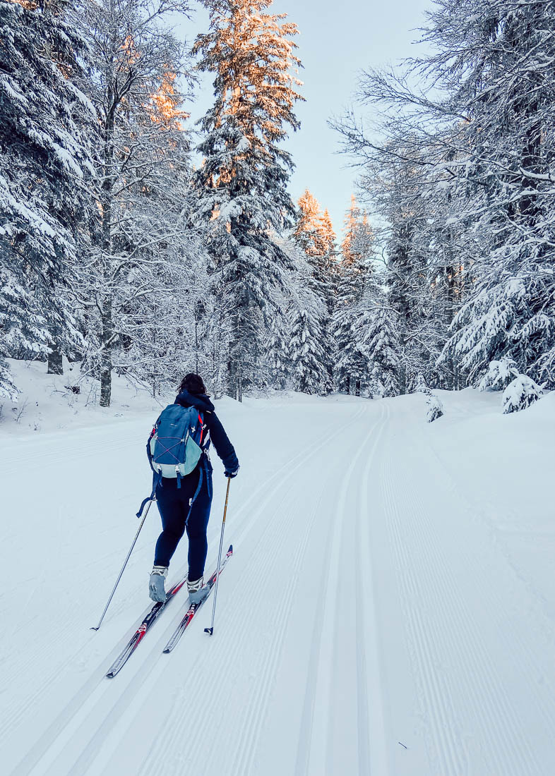 pays de gex - ski de fond à la vattay-18