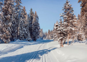 Partons à la découverte du Pays de Gex, une petite région de l'Ain coincée entre la Haute Savoie, le Jura et la Suisse. Parfaite pour découvrir le ski de fond, le ski de randonnée et les randonnées en raquettes.