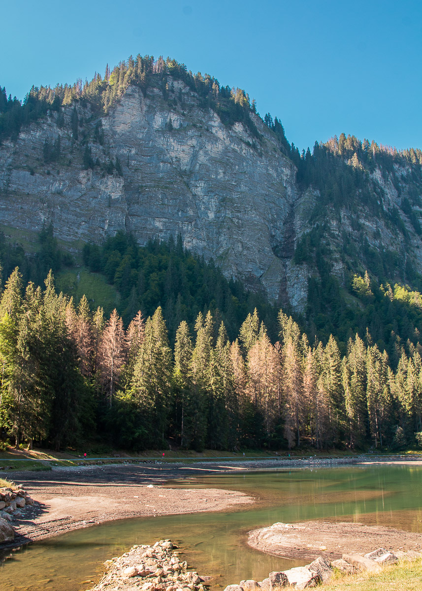lac de montriond-3
