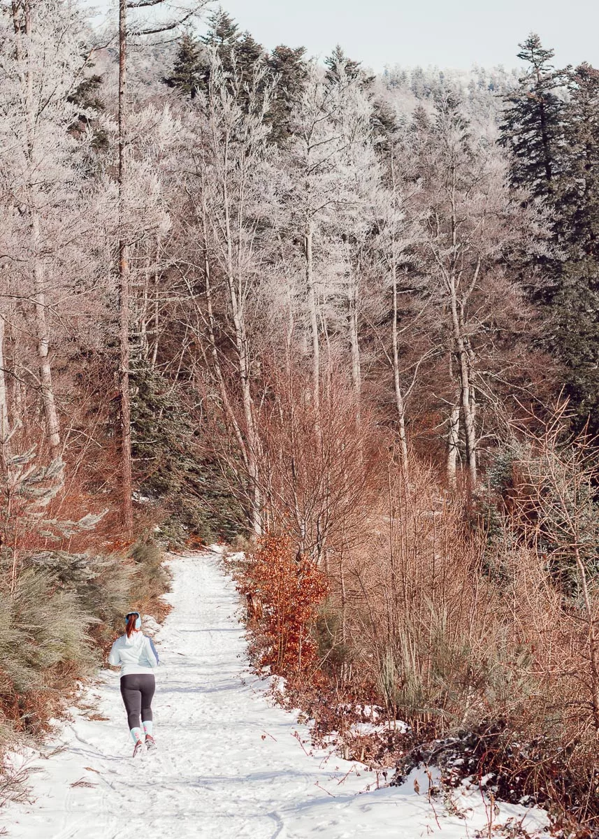 être la dernière d'une course-5
