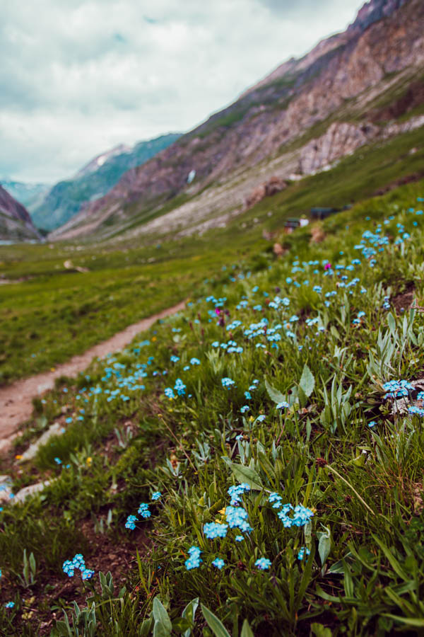 Cet article te présente les plus belles randonnées de Maurienne, des sentiers offrant des panoramas époustouflants et des expériences inoubliables au cœur des Alpes. Des itinéraires accessibles à tous niveaux te feront découvrir des lacs cristallins, des sommets majestueux et des refuges accueillants. Prépare tes chaussures de randonnée et pars à l'aventure dans cette région encore préservée du tourisme de masse!