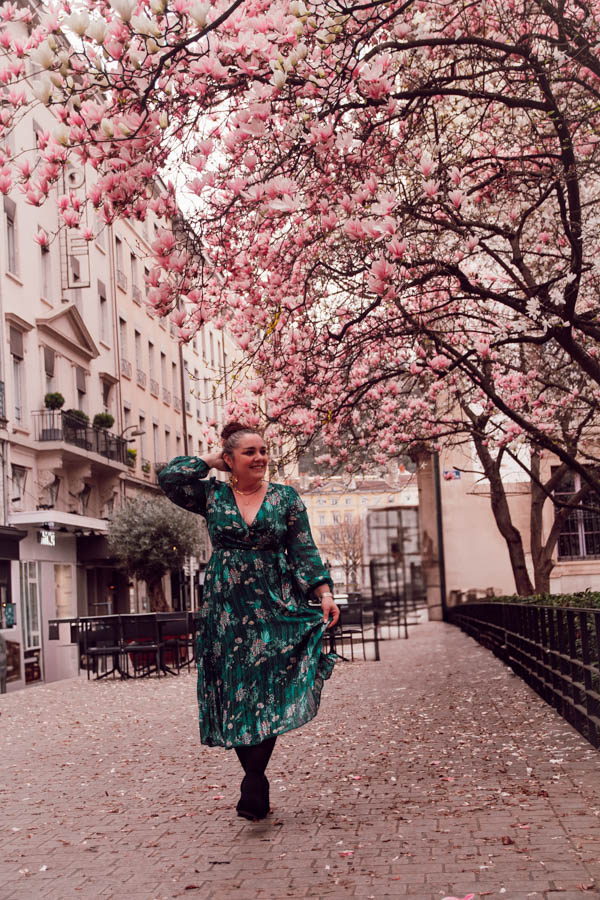 Chaque année, les magnolias en fleurs annoncent le retour du printemps avec une éclatante douceur, leurs pétales roses et blancs illuminant les paysages encore marqués par l’hiver. Leur floraison, à la fois brève et spectaculaire, symbolise ce renouveau tant attendu, où tout semble reprendre vie après des mois de dormance. Comme eux, nous avons aussi nos cycles, des périodes plus calmes suivies d’élans nouveaux, où l’on se sent prêt à éclore à notre tour.