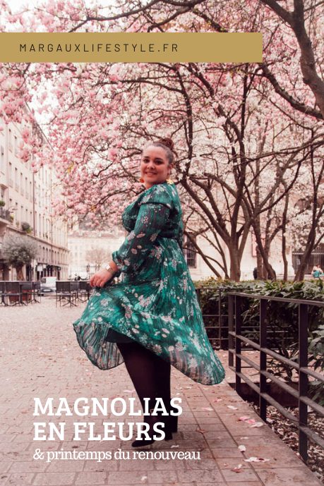 magnolias en fleurs 3