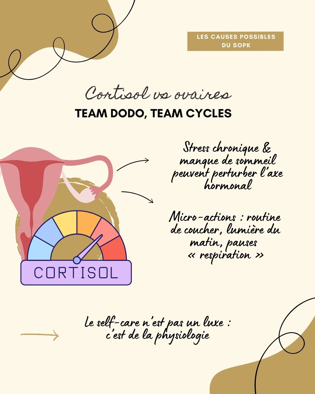 Le syndrome des ovaires polykystiques (SOPK) est un trouble hormonal fréquent chez les femmes en âge de procréer, caractérisé par des cycles irréguliers, un excès d’androgènes et parfois des ovaires polykystiques. Il s’accompagne souvent de symptômes métaboliques comme la résistance à l’insuline, la prise de poids abdominale et une inflammation de bas grade. Bien que chronique, le SOPK peut être efficacement pris en charge grâce à une combinaison de suivi médical, adaptations alimentaires, activité physique et, si nécessaire, traitements médicamenteux ou compléments.