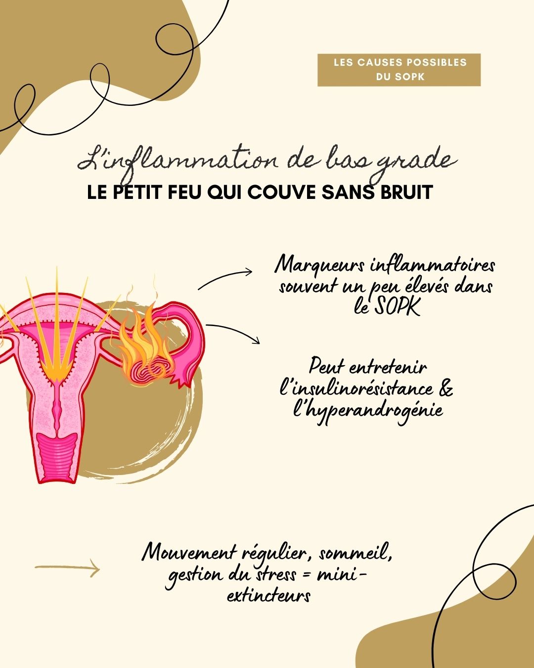 Le syndrome des ovaires polykystiques (SOPK) est un trouble hormonal fréquent chez les femmes en âge de procréer, caractérisé par des cycles irréguliers, un excès d’androgènes et parfois des ovaires polykystiques. Il s’accompagne souvent de symptômes métaboliques comme la résistance à l’insuline, la prise de poids abdominale et une inflammation de bas grade. Bien que chronique, le SOPK peut être efficacement pris en charge grâce à une combinaison de suivi médical, adaptations alimentaires, activité physique et, si nécessaire, traitements médicamenteux ou compléments.