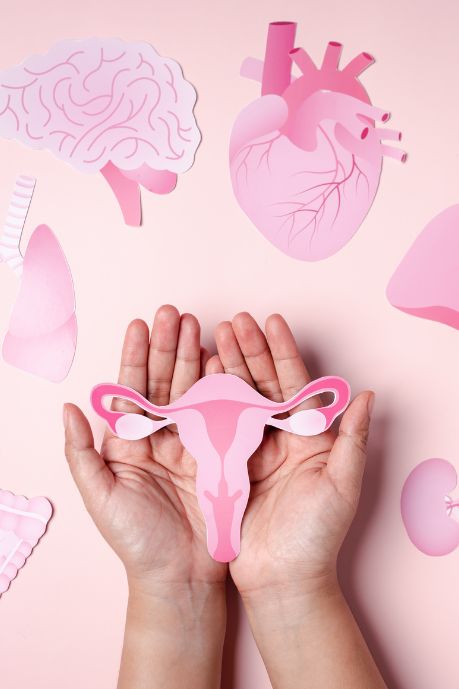 Le syndrome des ovaires polykystiques (SOPK) est un trouble hormonal fréquent chez les femmes en âge de procréer, caractérisé par des cycles irréguliers, un excès d’androgènes et parfois des ovaires polykystiques. Il s’accompagne souvent de symptômes métaboliques comme la résistance à l’insuline, la prise de poids abdominale et une inflammation de bas grade. Bien que chronique, le SOPK peut être efficacement pris en charge grâce à une combinaison de suivi médical, adaptations alimentaires, activité physique et, si nécessaire, traitements médicamenteux ou compléments.