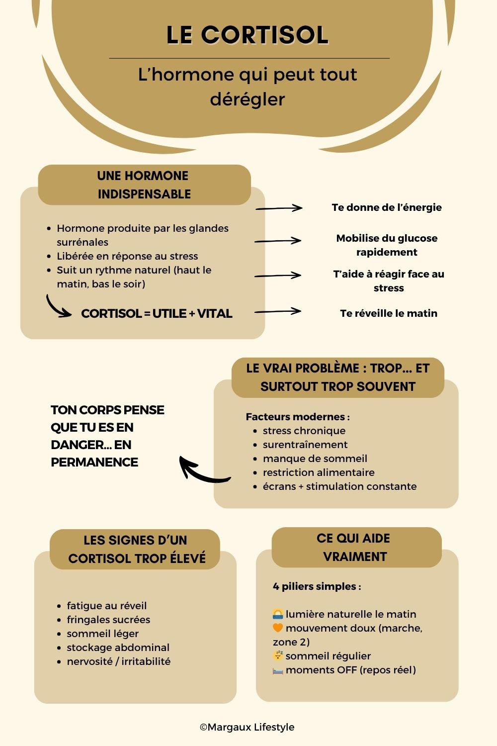 Le cortisol, souvent appelé hormone du stress, est indispensable au bon fonctionnement du corps, notamment pour gérer l’énergie et s’adapter aux situations du quotidien. Contrairement aux idées reçues, un cortisol élevé n’entraîne pas directement une prise de poids, mais peut influencer certains mécanismes liés au stress et au métabolisme. Comprendre le lien entre cortisol, stress et prise de poids permet d’éviter les raccourcis et d’adopter une approche plus globale et adaptée.