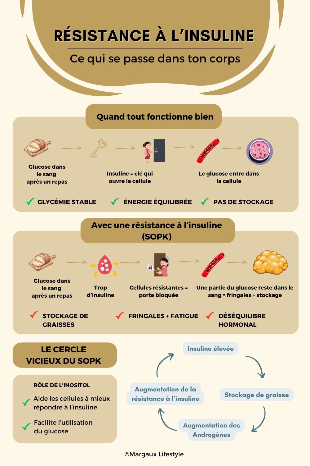 Tu fais attention à ton alimentation, tu bouges, tu fais des efforts… et pourtant, la perte de poids reste difficile car tu as un SOPK. Ce décalage entre ce que tu fais et les résultats que tu obtiens peut être frustrant, voire décourageant. En réalité, ce n’est pas une question de volonté, mais de mécanismes hormonaux et métaboliques souvent invisibles, qui nécessitent une approche différente.